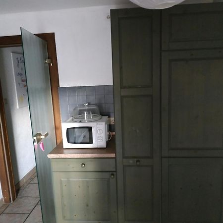 Chez Chris & Ju Διαμέρισμα Biesheim Εξωτερικό φωτογραφία